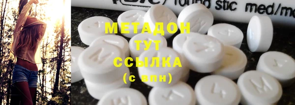 прущие грибы Алексеевка