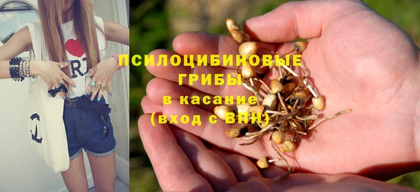 кристаллы Алзамай
