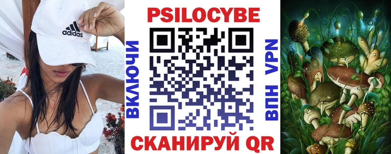 Псилоцибиновые грибы мицелий  Махачкала 