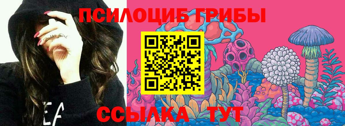 Галлюциногенные грибы ЛСД  Вход с VPN  Махачкала 